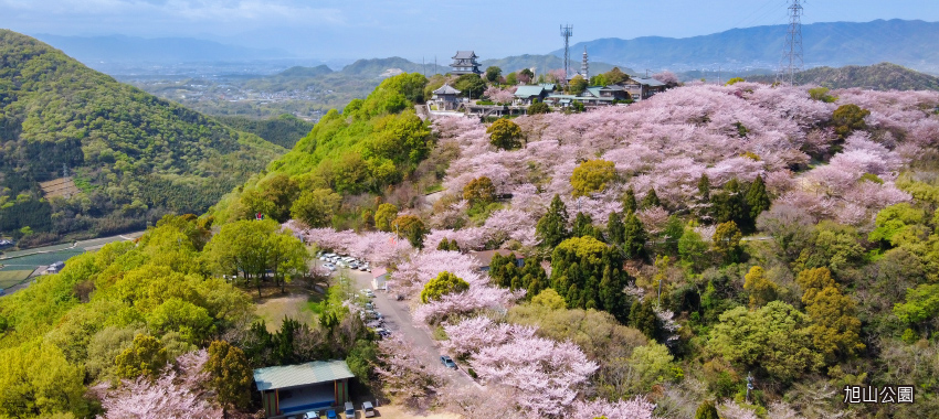旭山公園